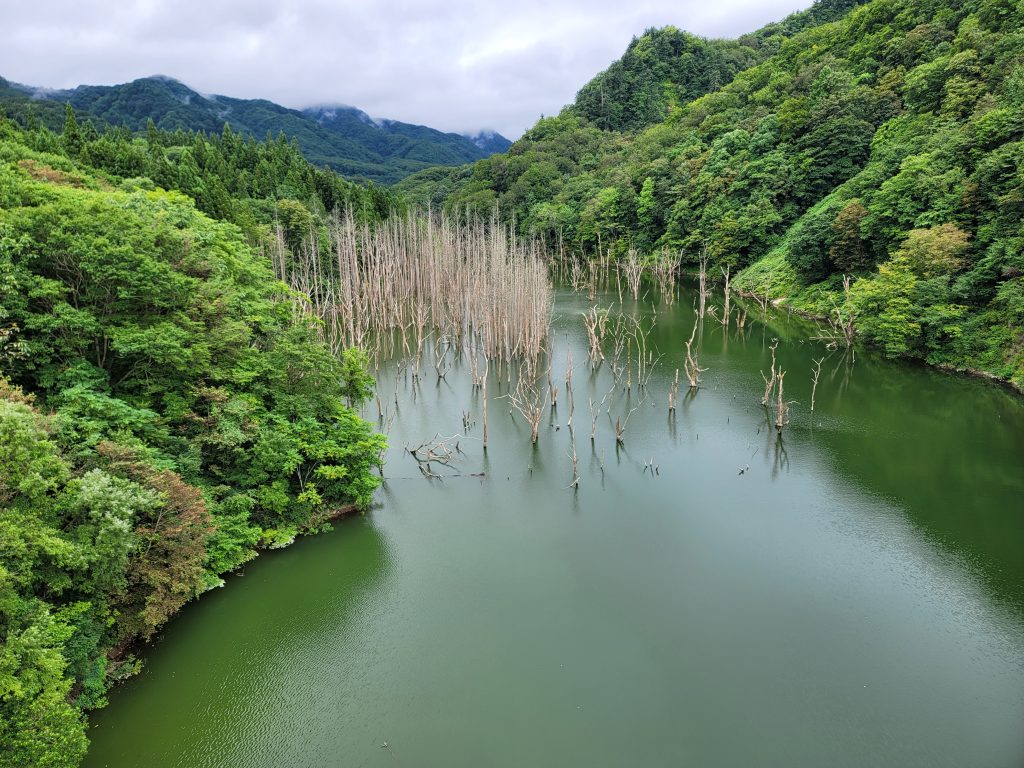 青森・白神山地周辺の津軽ダム近くにある湖。水面から枯れ木が立ち並び、幻想的な雰囲気を漂わせている様子