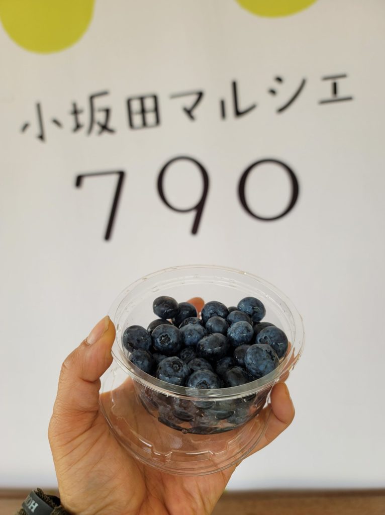 ブルーベリー
