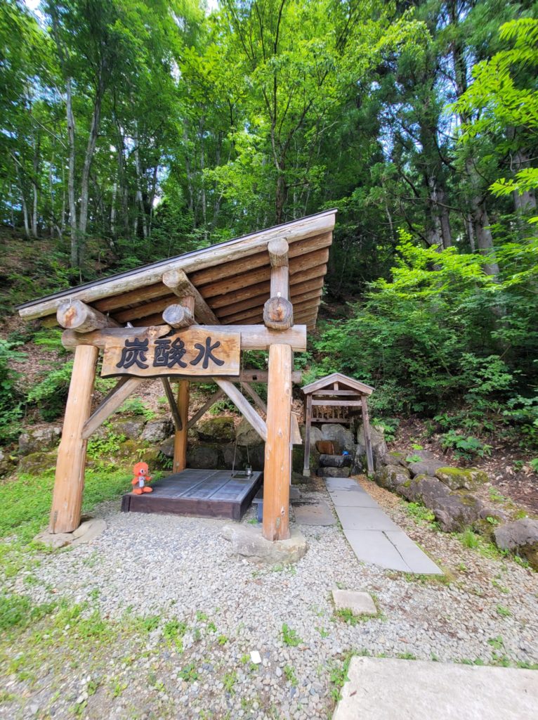 大塩天然炭酸場