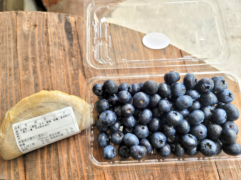 おいしそうなブルーベリー
