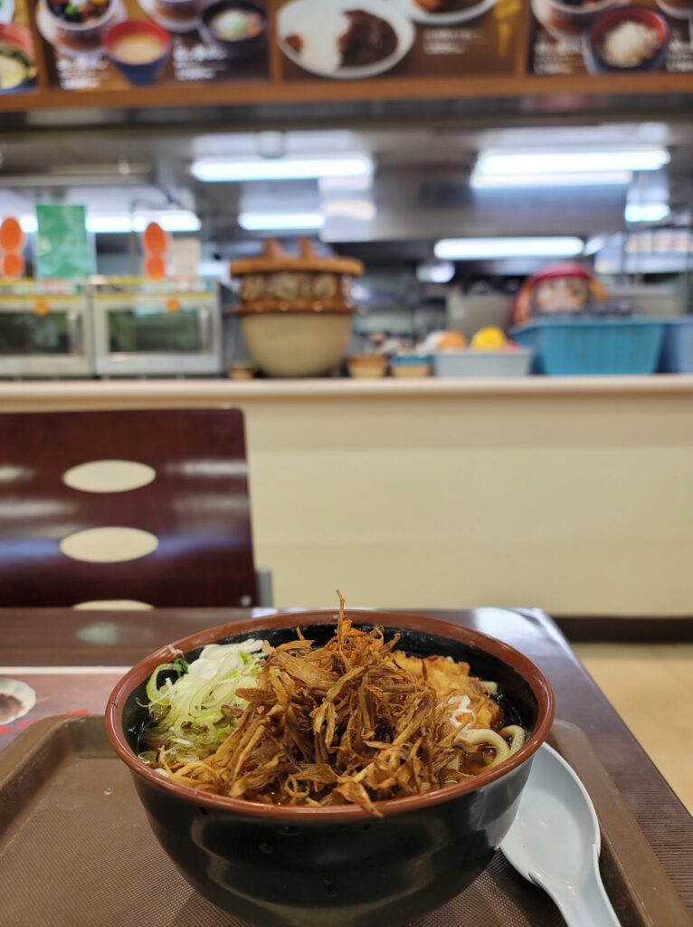 長野県湯の丸サービスエリア、『おぎのや』のうどん