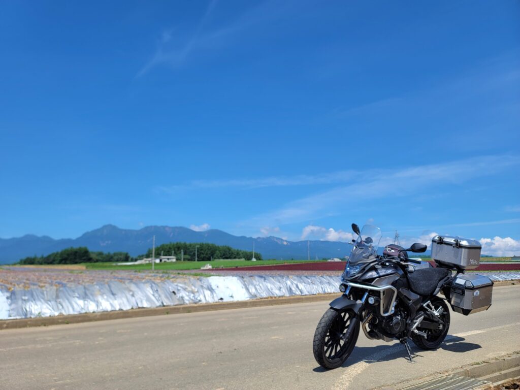 レタス街道