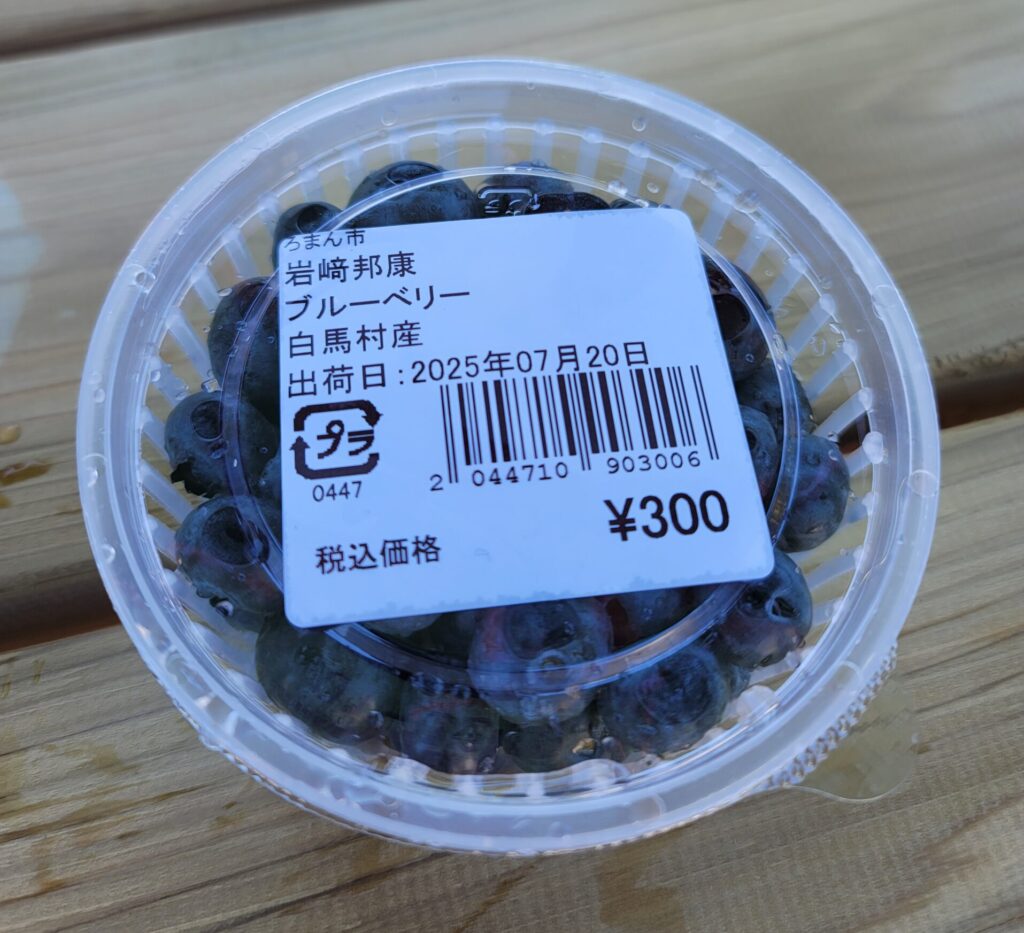 道の駅白馬で買ったブルーベリー