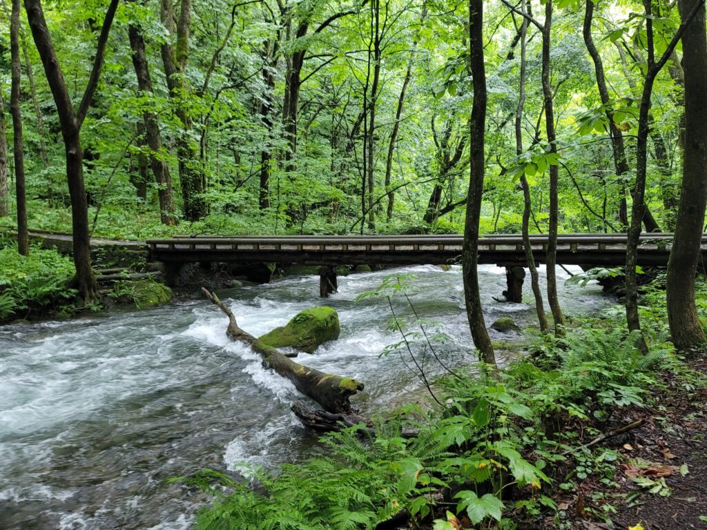 奥入瀬渓流の木造橋