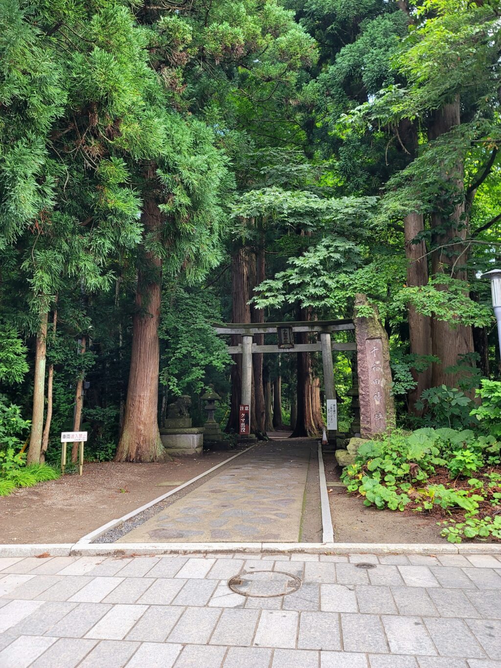 青森県十和田神社の参道。木々に囲まれた神秘的な雰囲気で、十和田湖ツーリングの立ち寄りスポットとして人気。