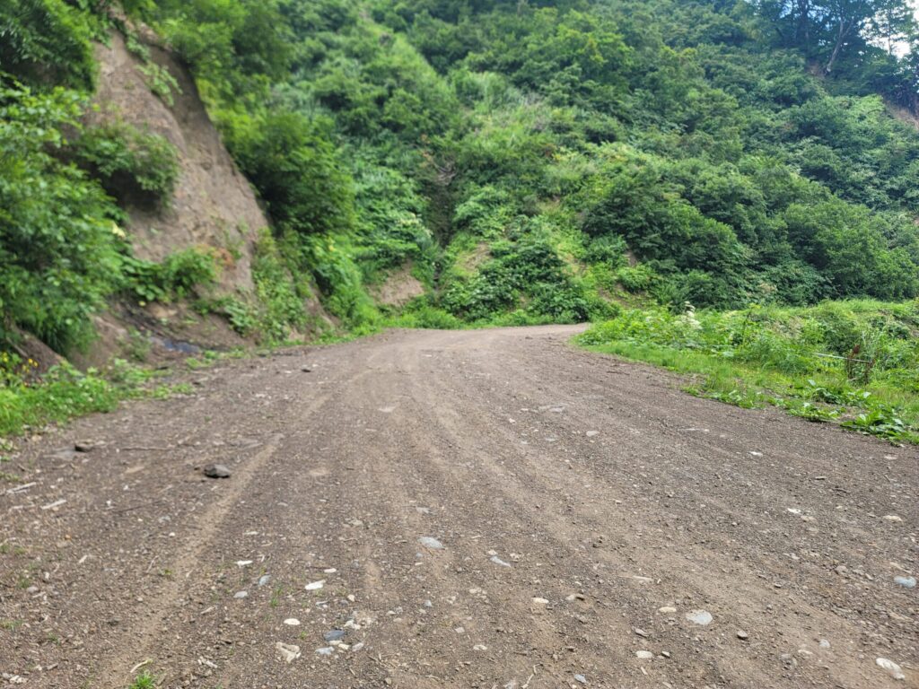 妙高小谷線、林道のフラットダートを走るハンターカブの写真。序盤の走りやすい路面が広がっている様子。