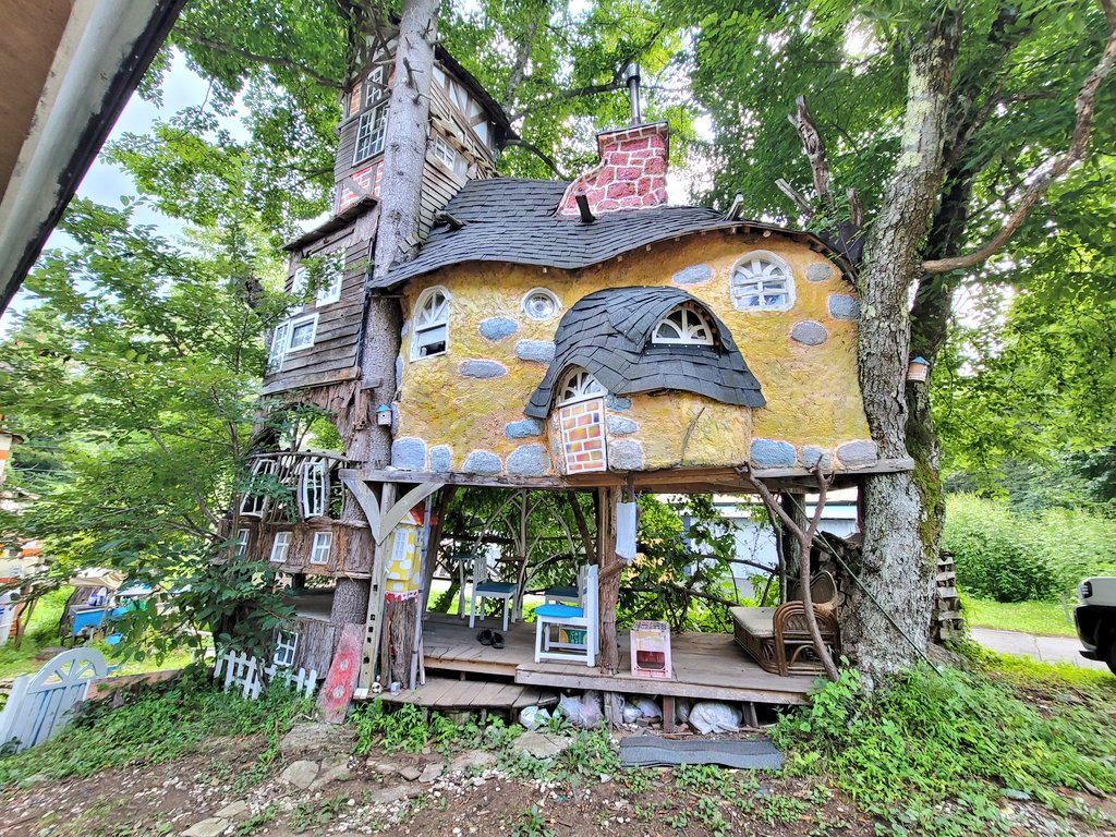 長野、おかしの家くるみぼーるのツリーハウス外観、木々に囲まれたカラフルでメルヘンな建物。