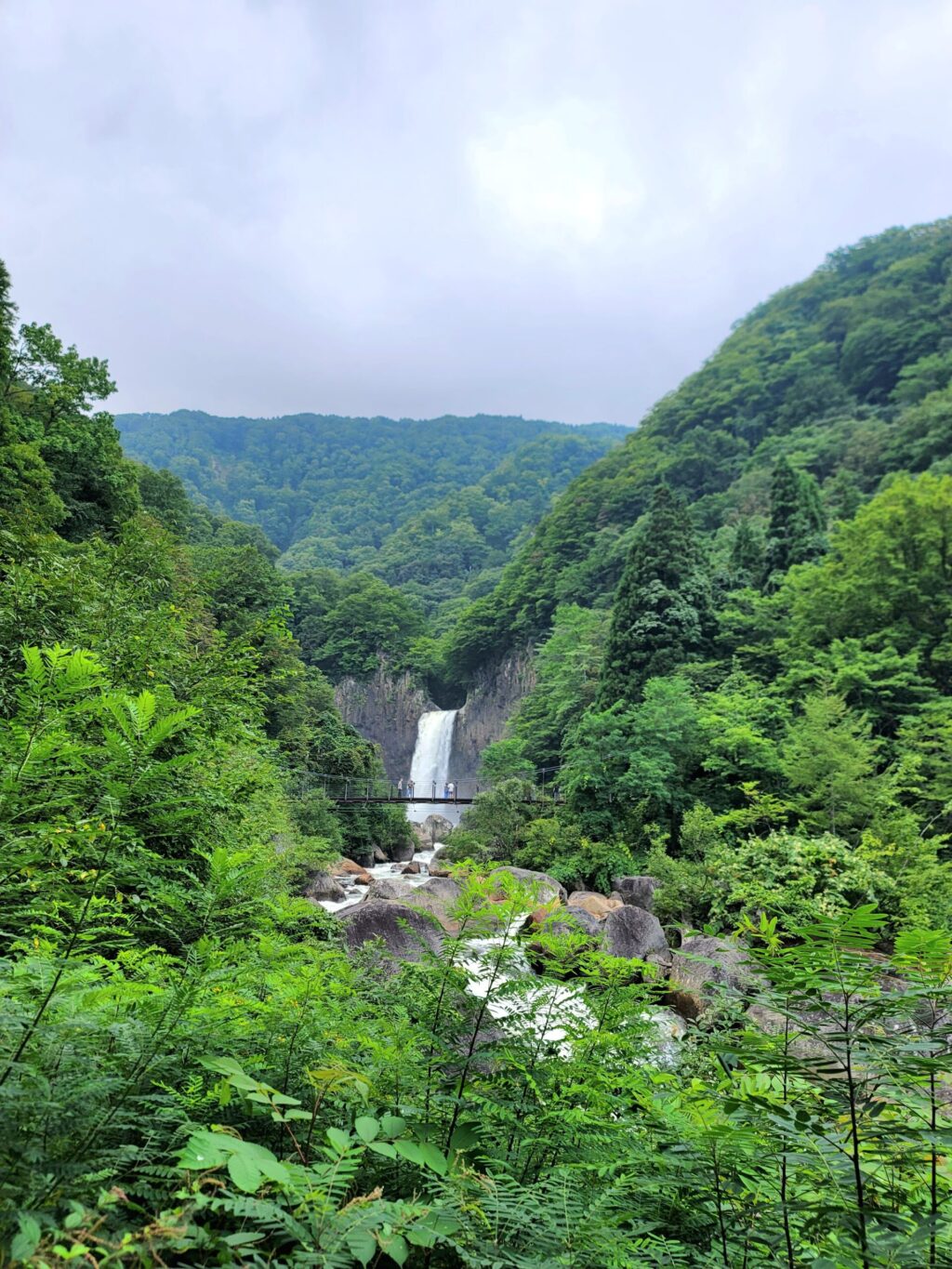新潟、木々の間から遠くに見える苗名滝の様子。白い水しぶきが立ち上り、自然の迫力を感じさせる風景。