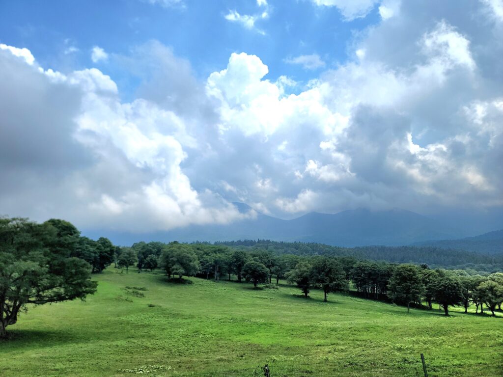 新潟県、笹ヶ峰高原の広々とした草原と遠くの山々が映る絶景写真。高原の開放感あふれる風景を表現。