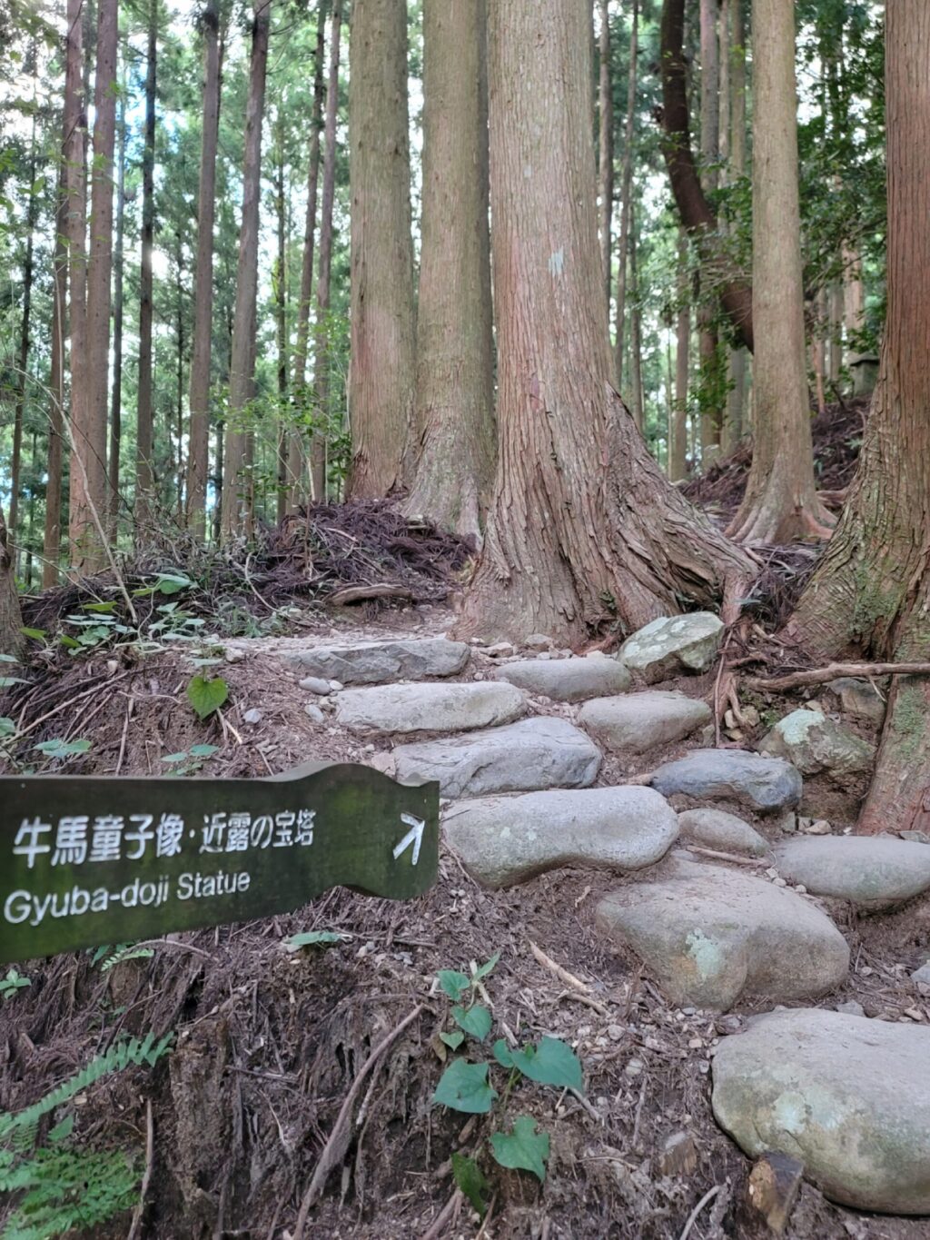和歌山県田辺市中辺路町近露、熊野古道沿いに立つ牛馬童子への案内看板と古道の風景。木々に囲まれた静かな舗装林道。