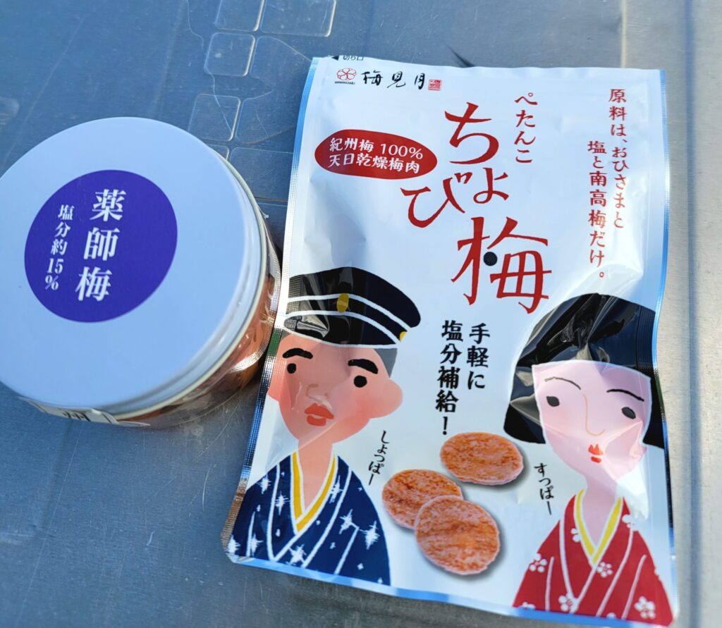 道の駅みなべうめ振興会館で購入。リアボックスにのった紀州薬師梅と乾燥梅「ちょび梅」。小さく、持ち運びしやすいお土産