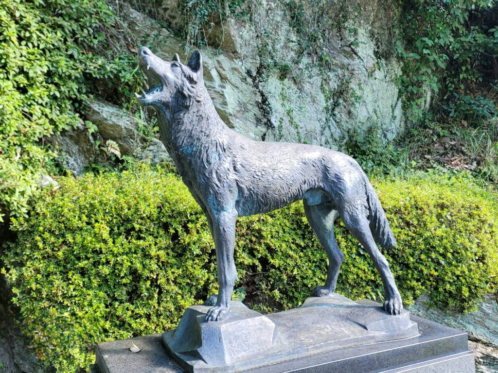 奈良県東吉野村に建つ日本オオカミ銅像の姿をクローズアップした写真