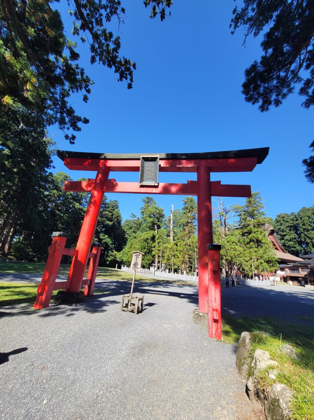 羽黒山の三神合祭殿へ続く参道に立つ鳥居と、杉木立に包まれた神聖な風景