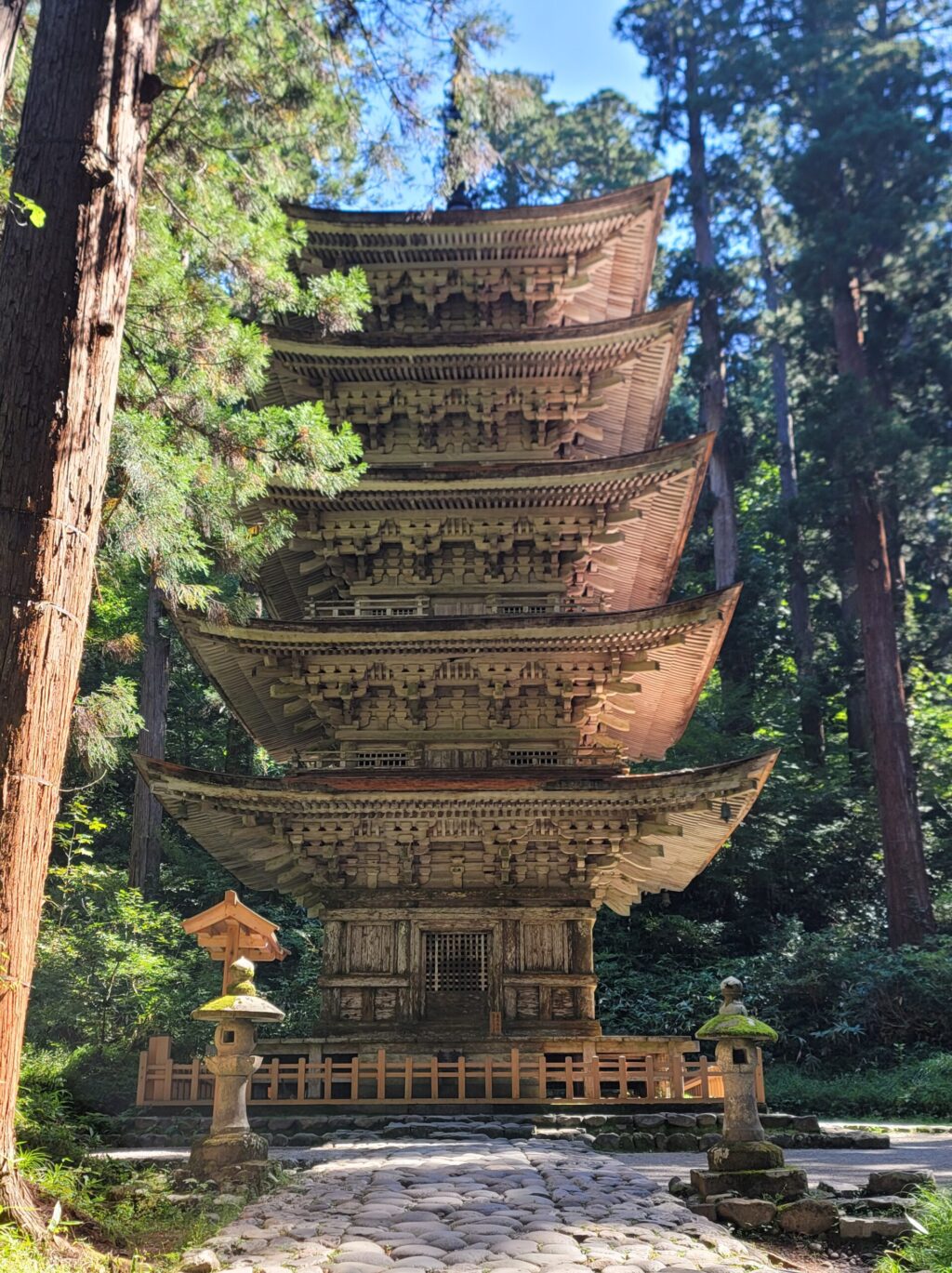 羽黒山五重塔の正面写真。木造建築ながら光の加減で黄金色に輝くように見える