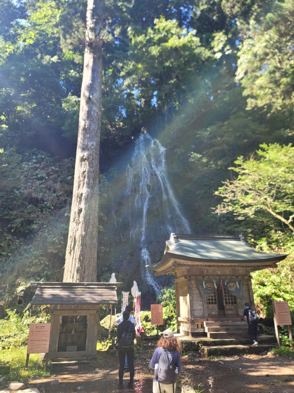 羽黒山の参道にある須賀の滝の写真。木々の間を流れ落ちる清らかな滝