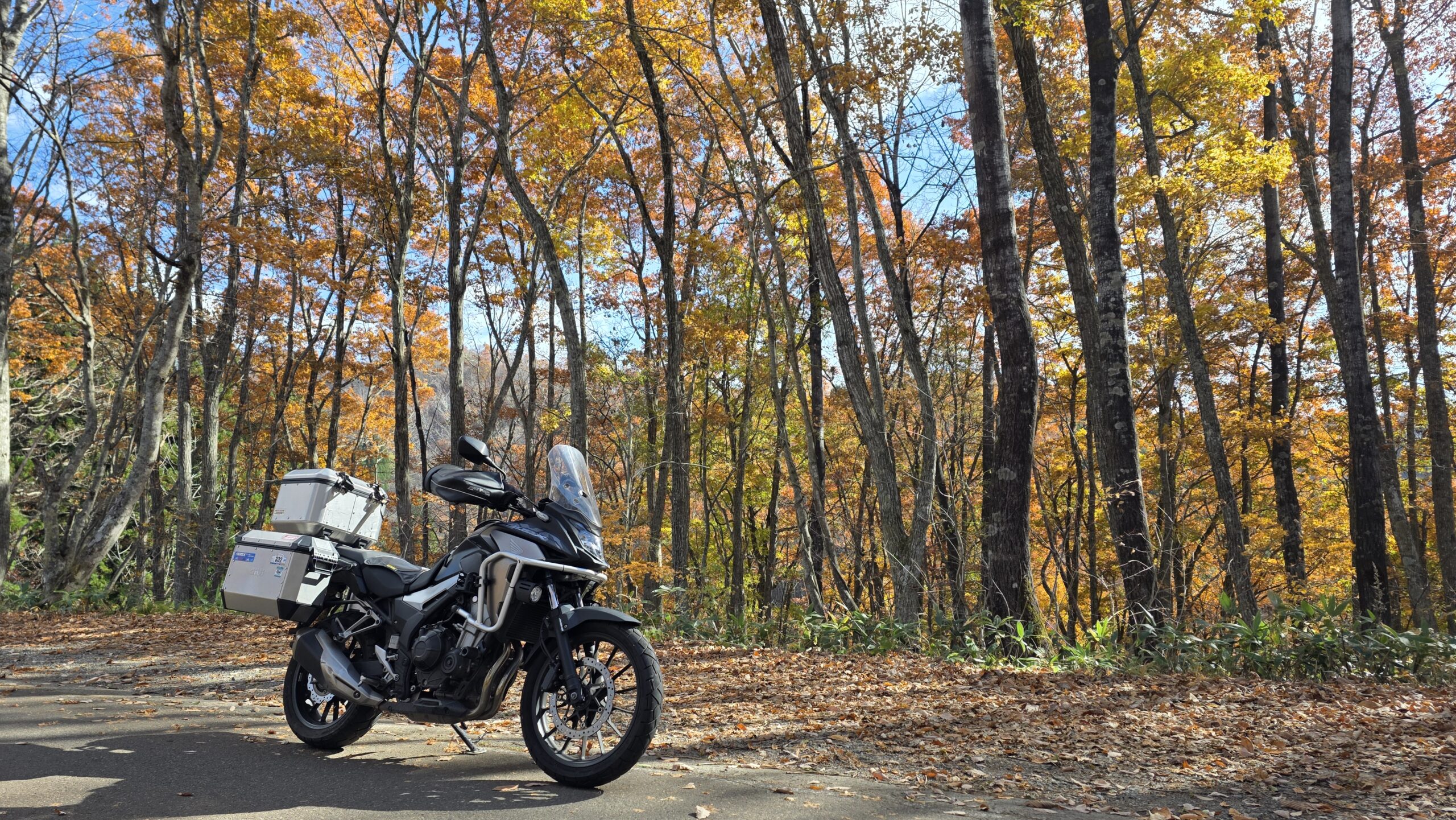 長野県大町ダム龍神湖の紅葉