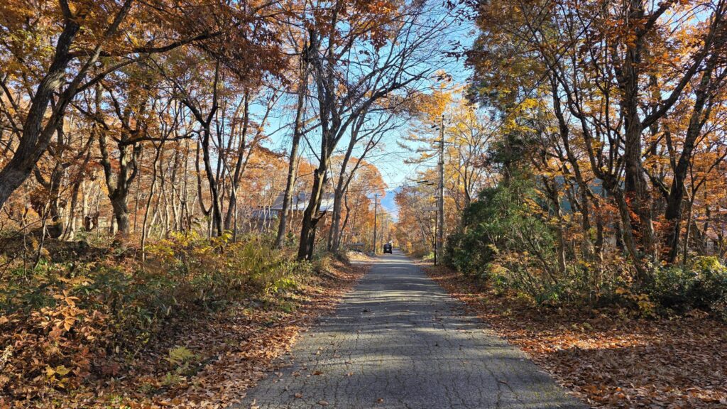 白馬エコーランドの紅葉