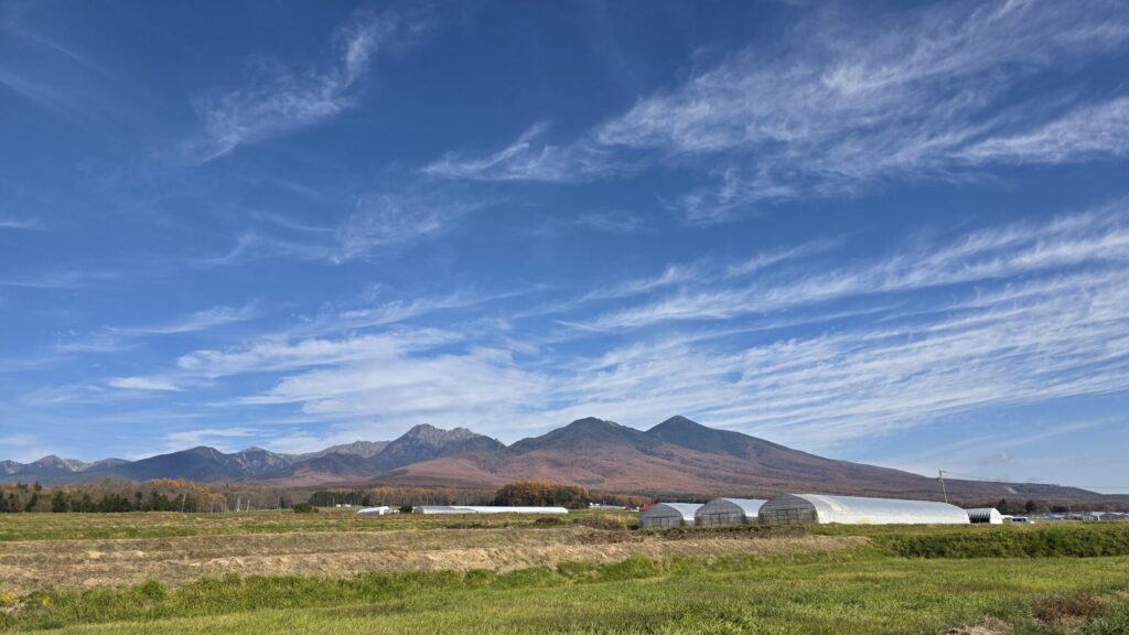 八ヶ岳エコーラインからの紅葉の八ヶ岳