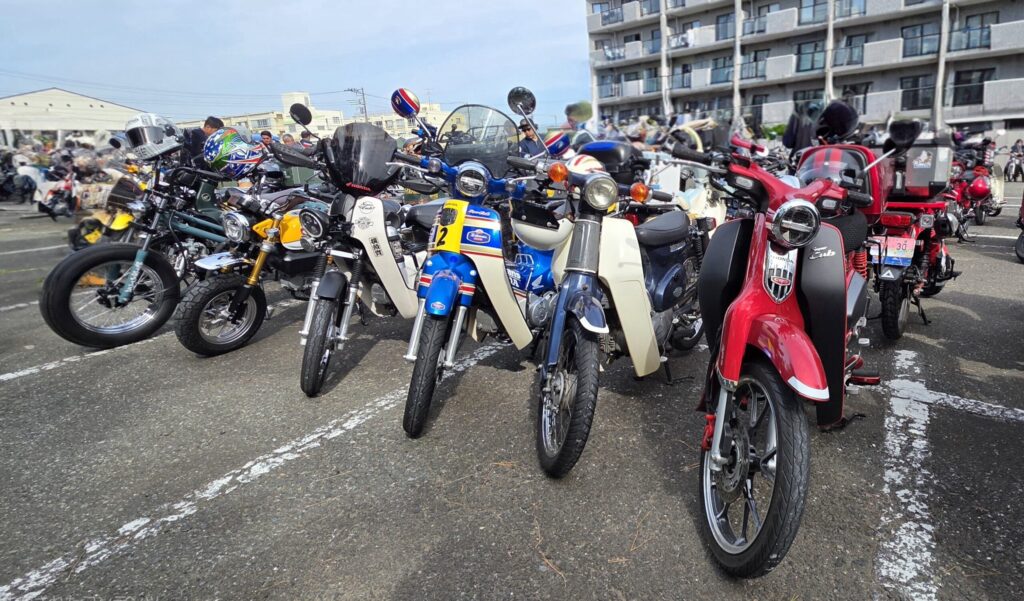 個性がそれぞれのスーパーカブが並んだ写真