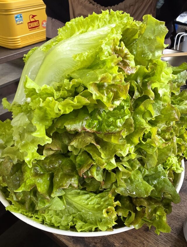お皿に山盛りに盛られたレタス