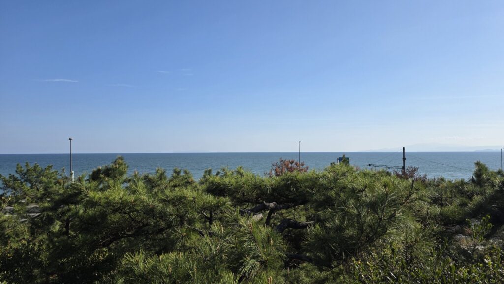 吉田茂記念館から見える太平洋の海と松林