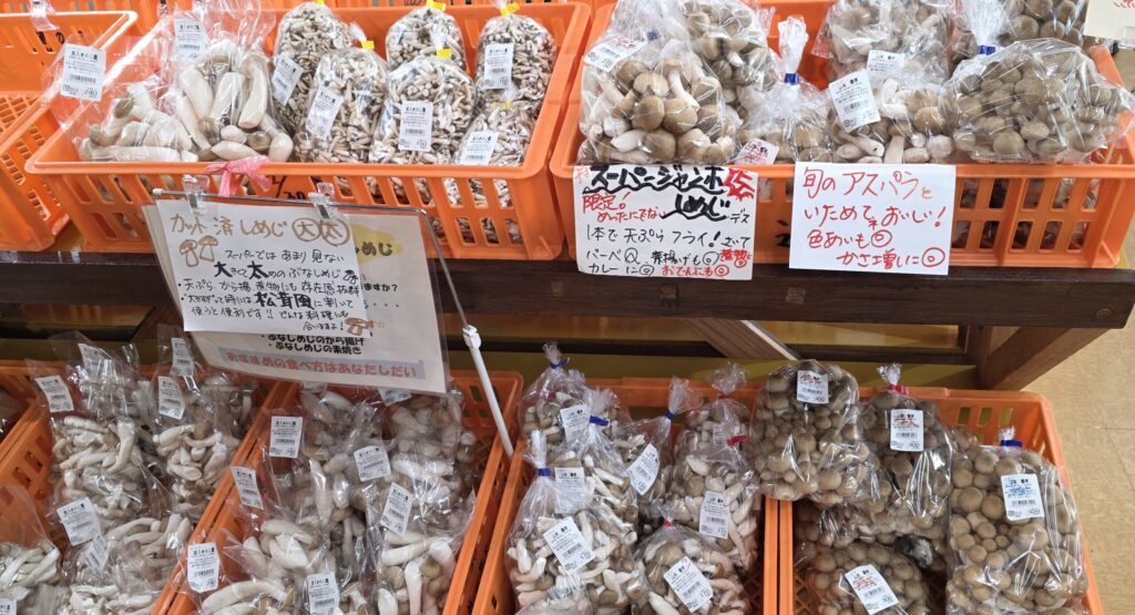 長野県道の駅北信州やまのうちの直売所に並ぶ沢山のきのこ