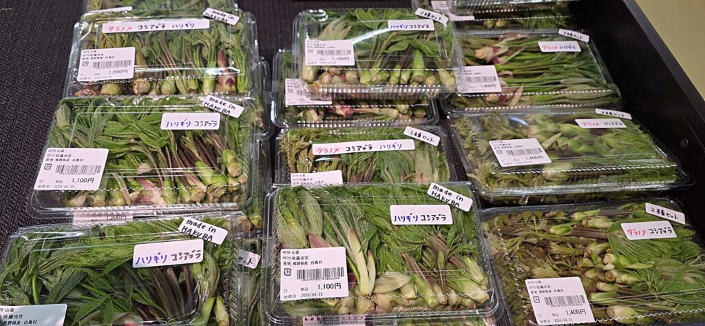 A-COOP白馬店に並んだたくさんの山菜