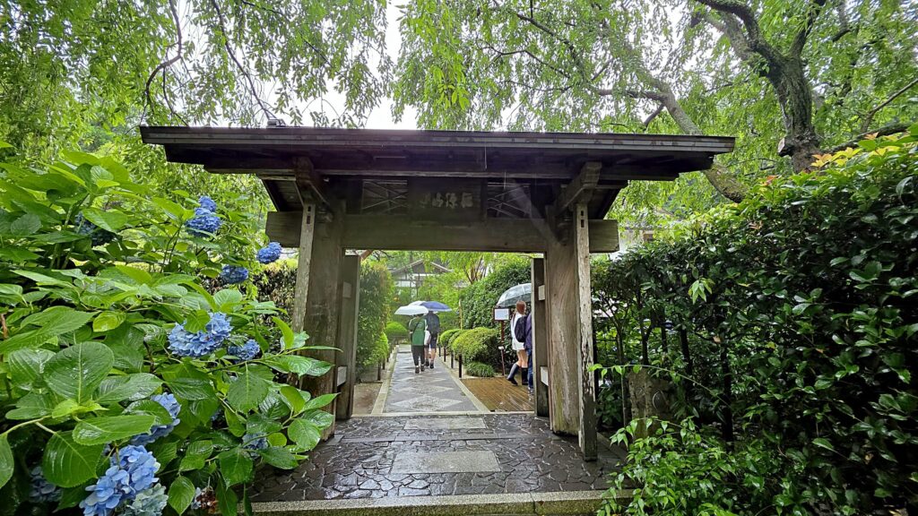 鎌倉・明月院参道入り口。参道脇には紫陽花が咲いている。