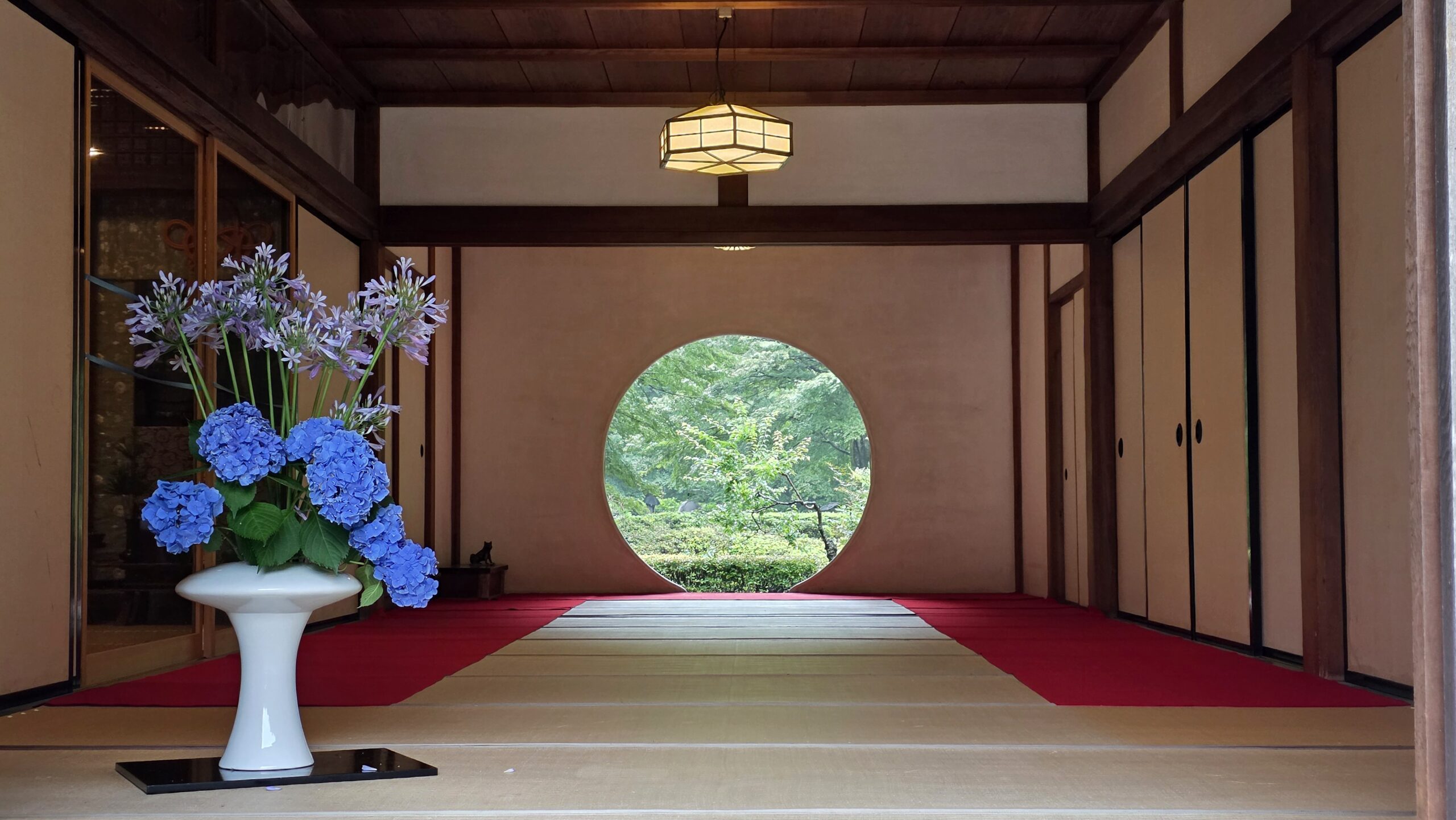 鎌倉明月院の悟りの窓。部屋に飾られている紫陽花が美しい