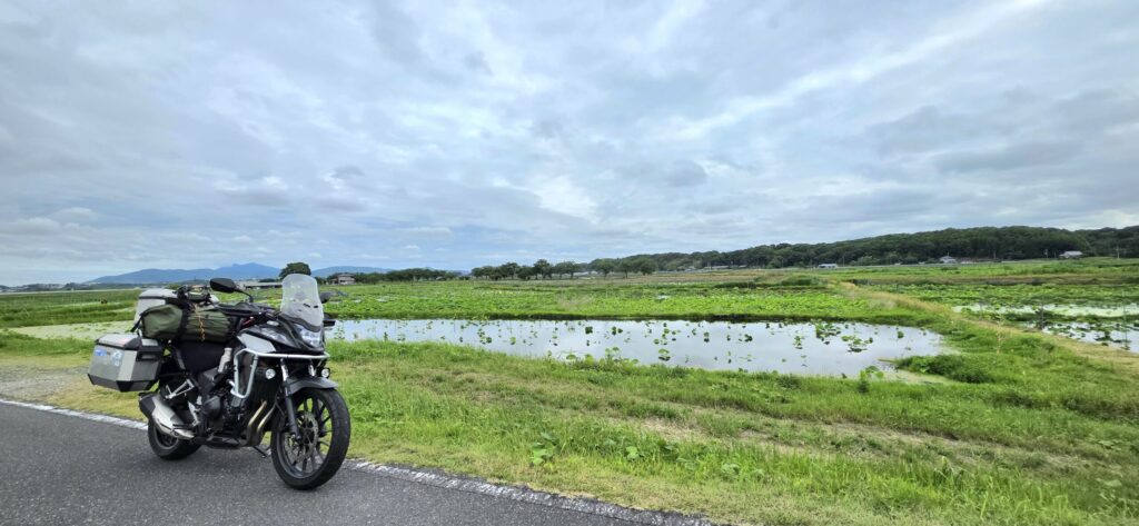 茨城県霞ケ浦に広がるレンコン畑の横に駐車するホンダ400X