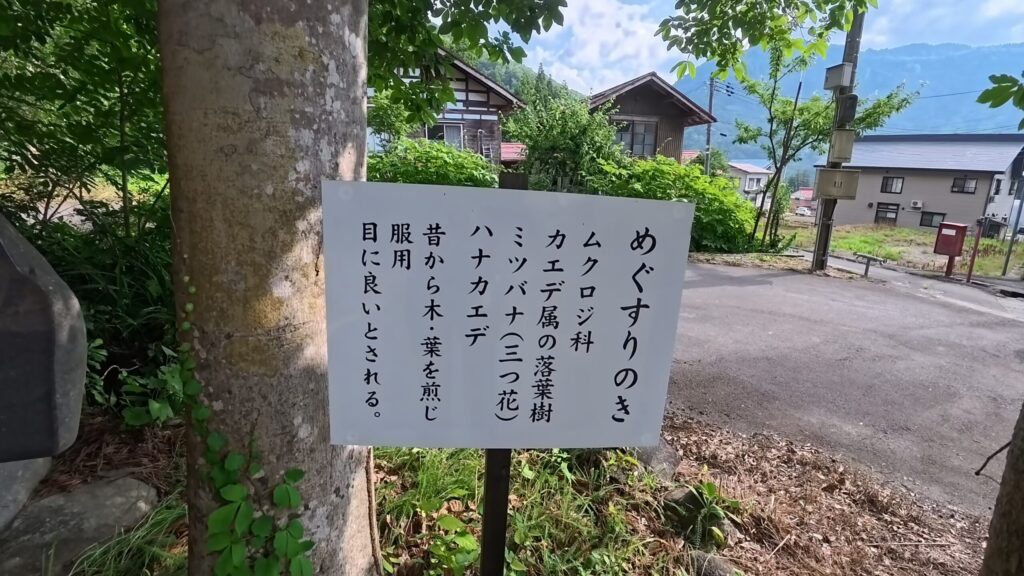 新潟県津南町にある見玉不動尊にあるめぐすりの木