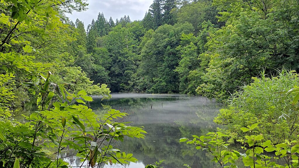 新潟県津南町 龍ヶ窪の朝霧