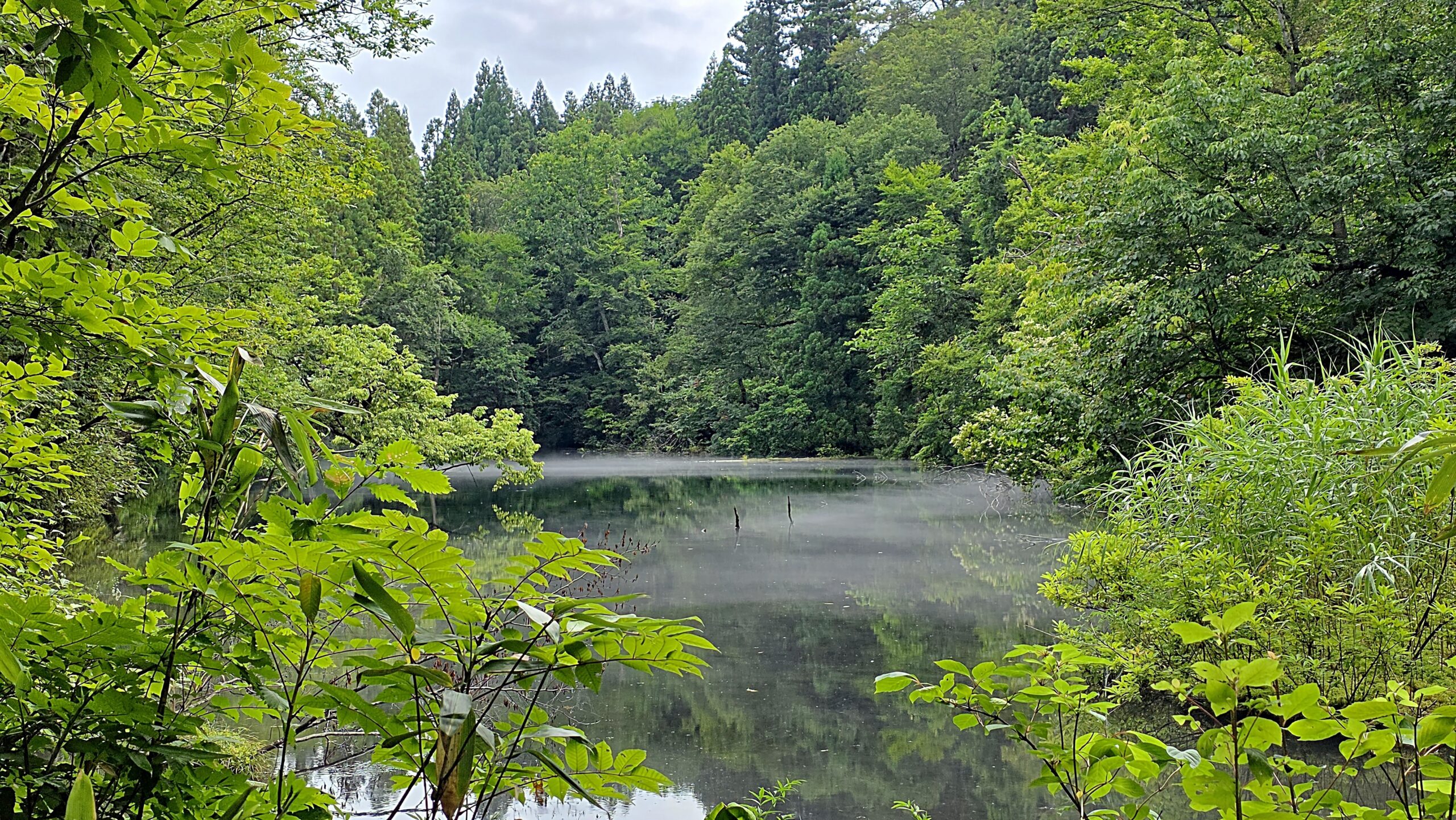 龍ヶ窪の水面を流れる霧