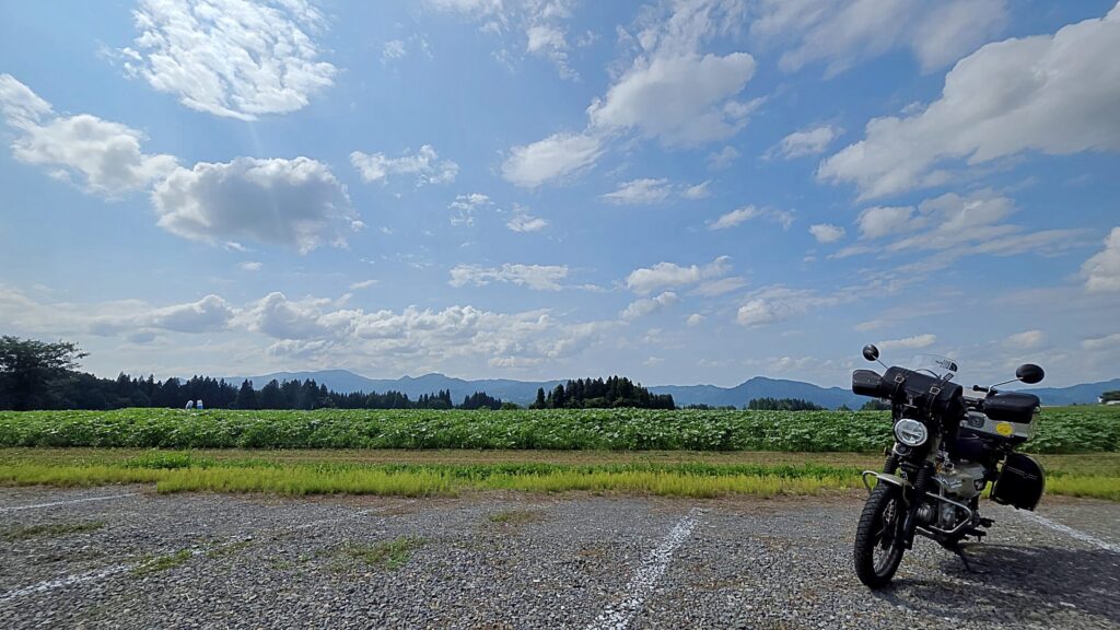 新潟県津南町ひまわり広場。まだ咲いてないひまわり畑とハンターカブ。