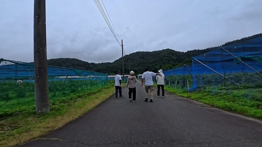 山梨・河口湖ブルーベリー園のブルーベリー畑に向かう人々の様子