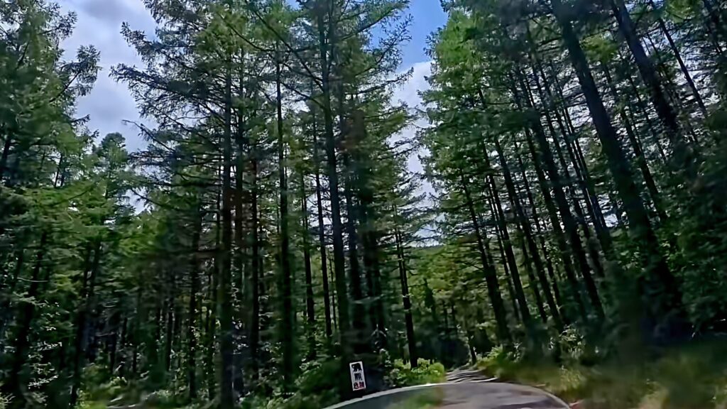 長野県林道。入笠線の入笠湿原に入る手前の分岐に熊危険と書かれた看板がある様子