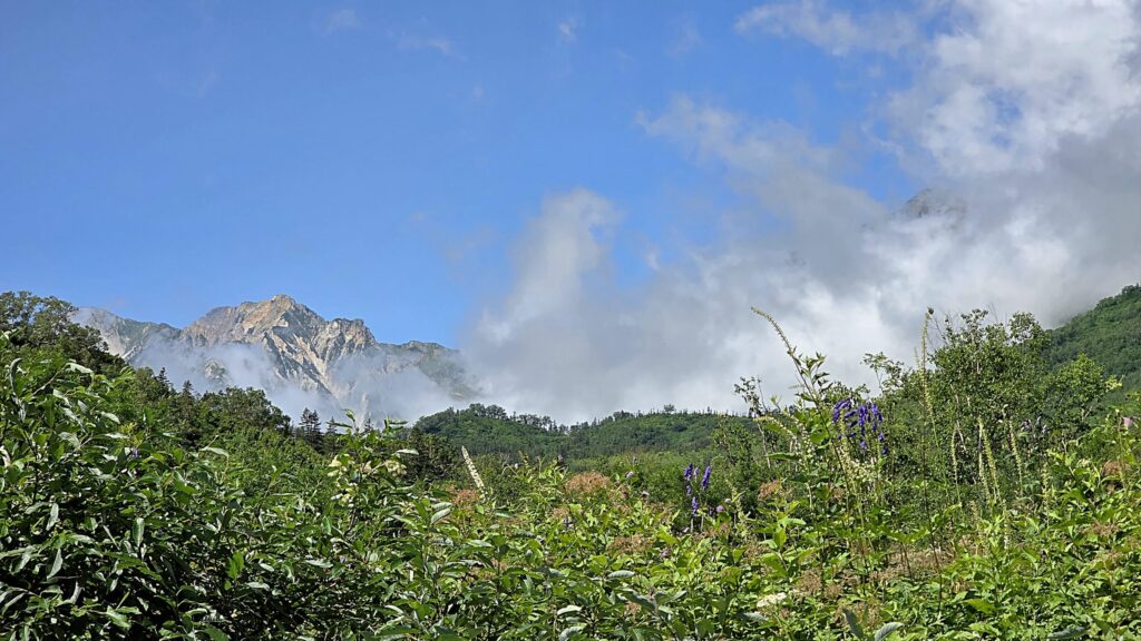 長野栂池自然園、ビジターセンター前の北アルプスの絶景