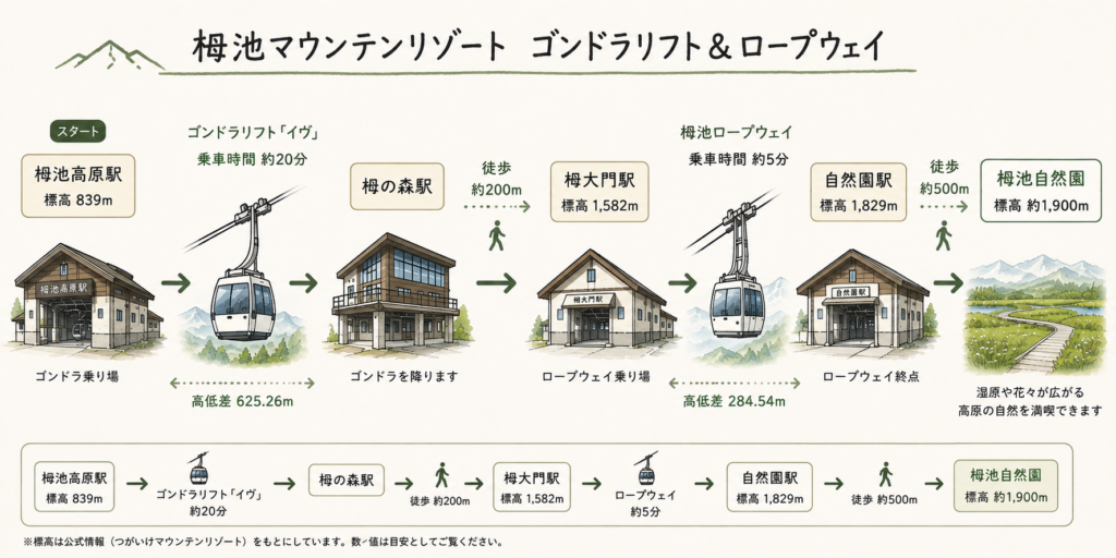 栂池自然園ロープウェイ、ゴンドラ駅ルートマップ