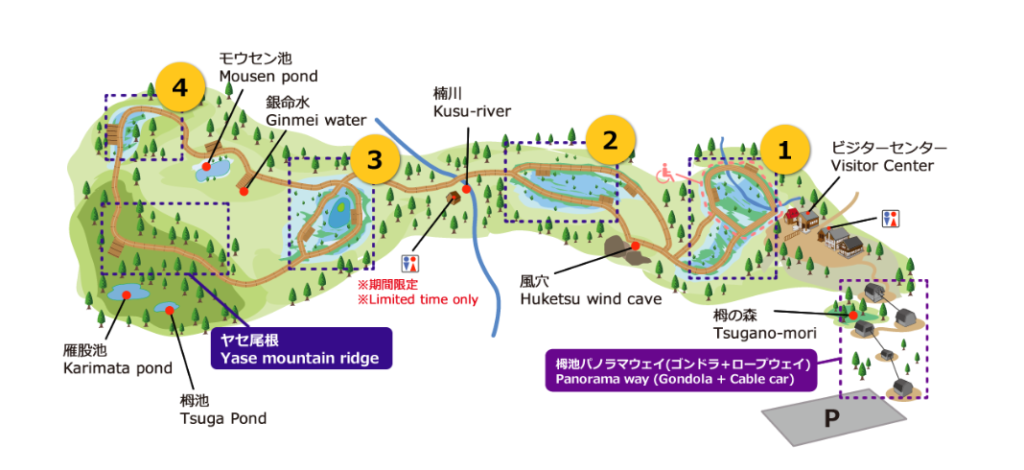 長野県栂池自然園散策マップ