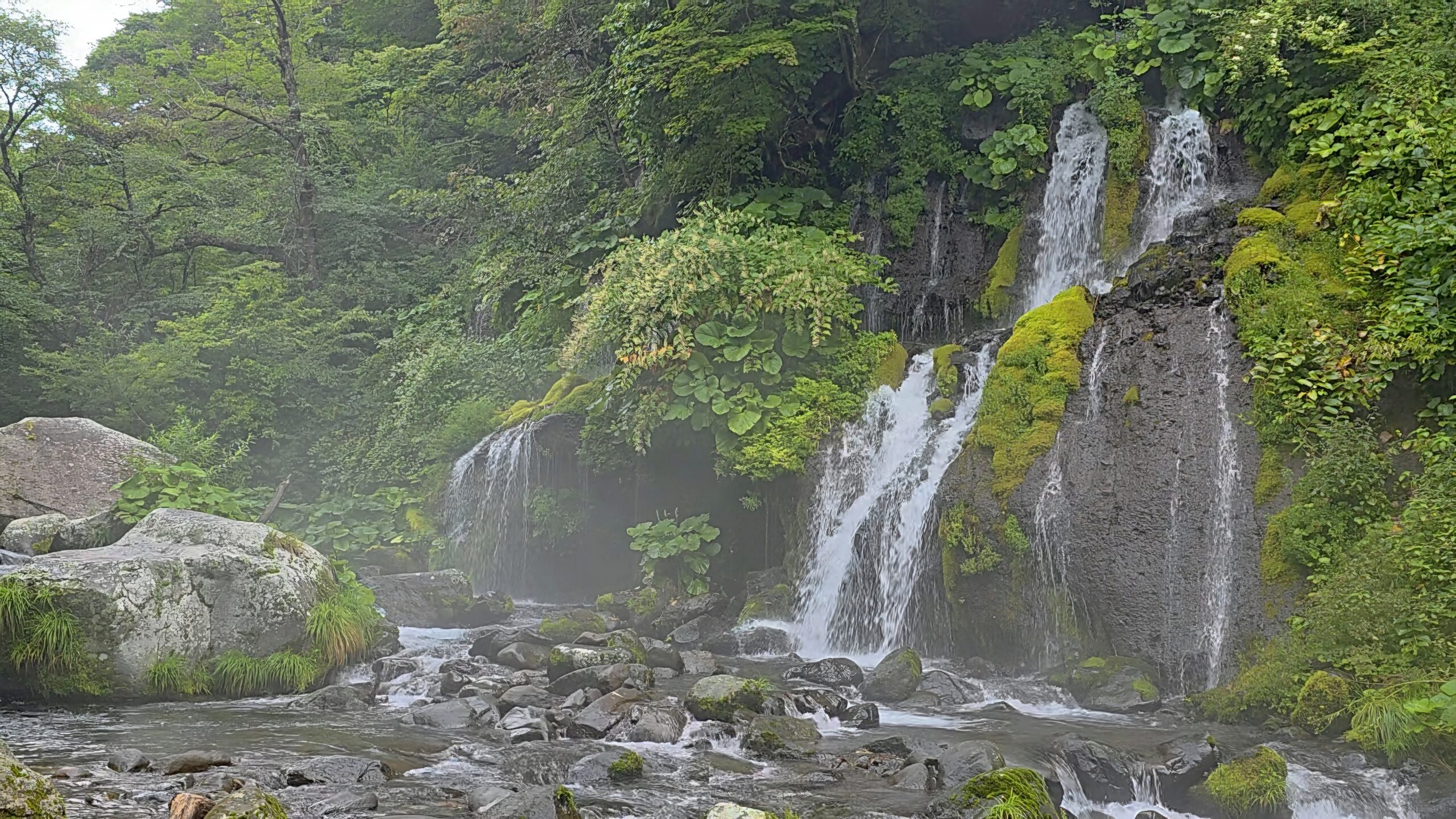 山梨県北杜市吐竜の滝の全景