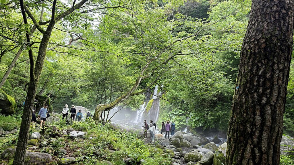 山梨県北杜市の吐竜の滝を見学するたくさんの人々