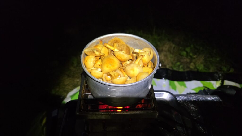 白馬ツーリング。青木湖キャンプ場で作ったなめこ汁