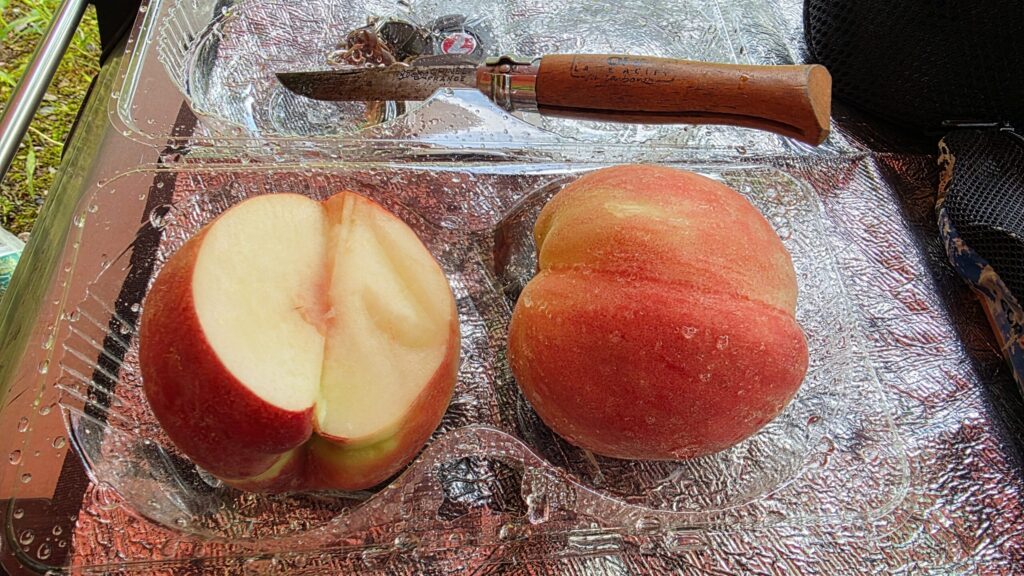 長野特産のワッサー。
桃とネクタリンを掛け合わせた果物をむいた様子