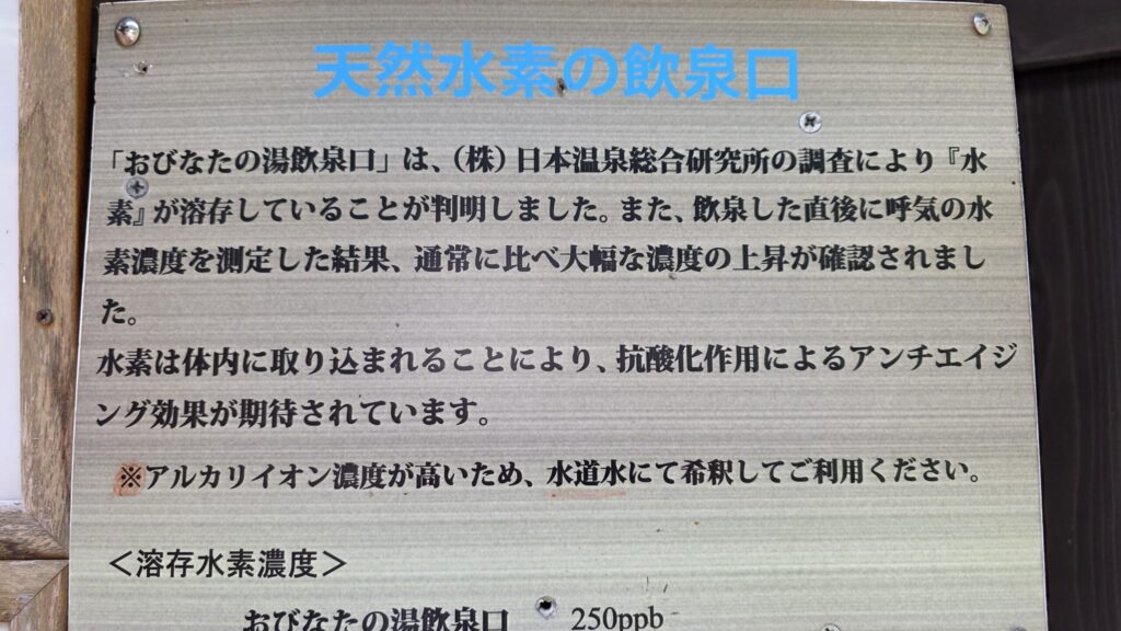 白馬八方温泉おびなたの湯の水素の検査証