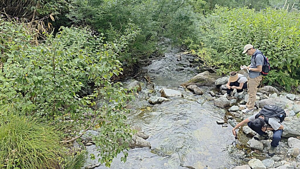 栂池自然園楠川の冷たい川の水で涼む人々の様子